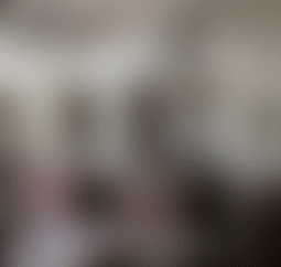 ウェブ アニメーター